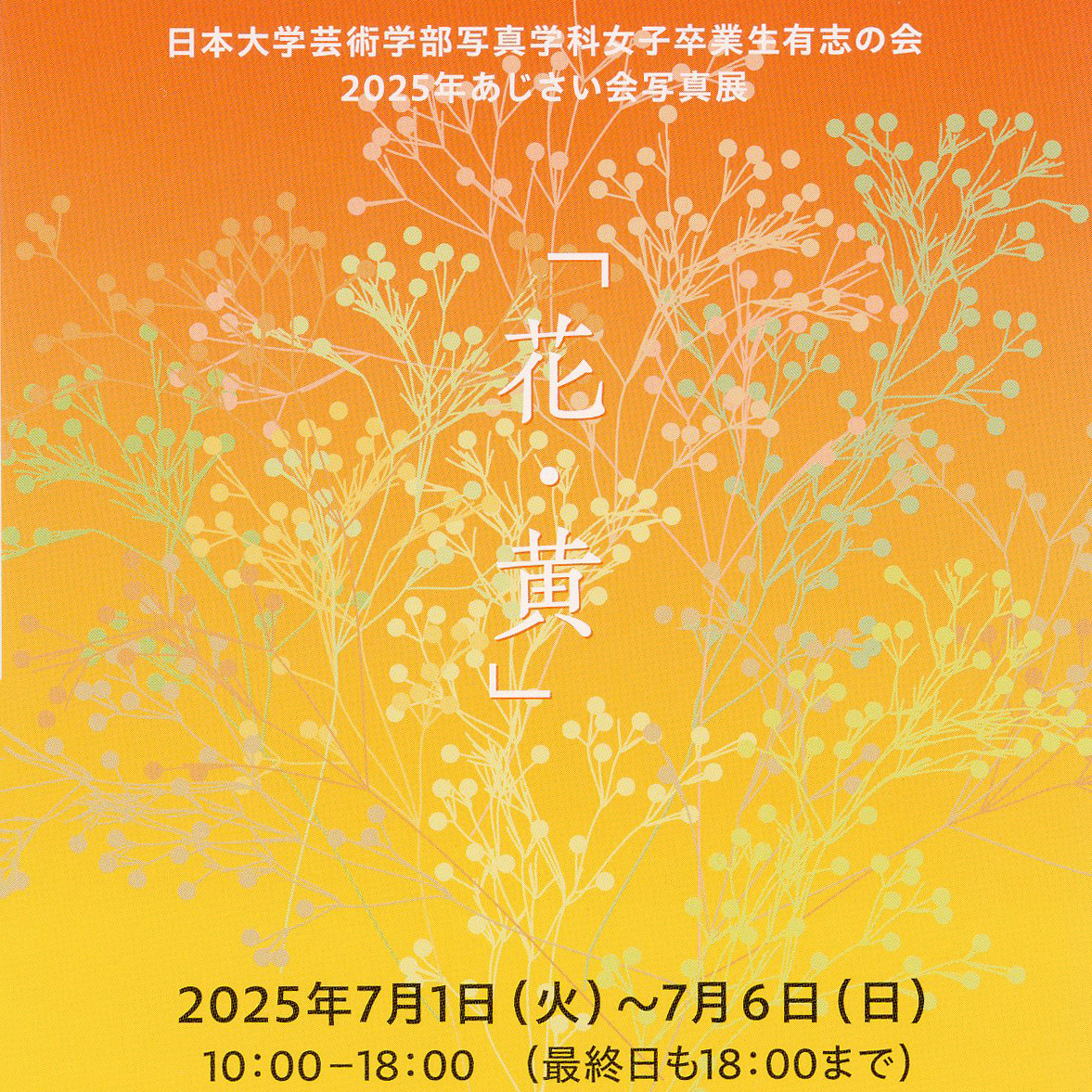 2025年あじさい会写真展「花・黄」